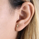 Solid 14K Yellow Gold Kitten Stud Earrings - Shryne Diamanti & Co.