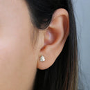 Solid 14K Yellow Gold Leaf Earrings - Shryne Diamanti & Co.