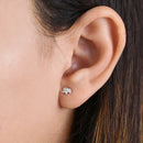 Solid 14K White Gold Elephant Earrings - Shryne Diamanti & Co.