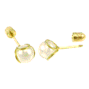 5mm Pearl in 14K Gold Stud Earrings W. Screw Back