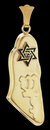 14K GOLD MAP OF ISRAEL MEZUZAH SET - Shryne Diamanti & Co.